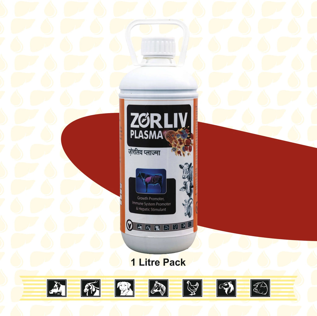 Zorliv Plasma (1 L)