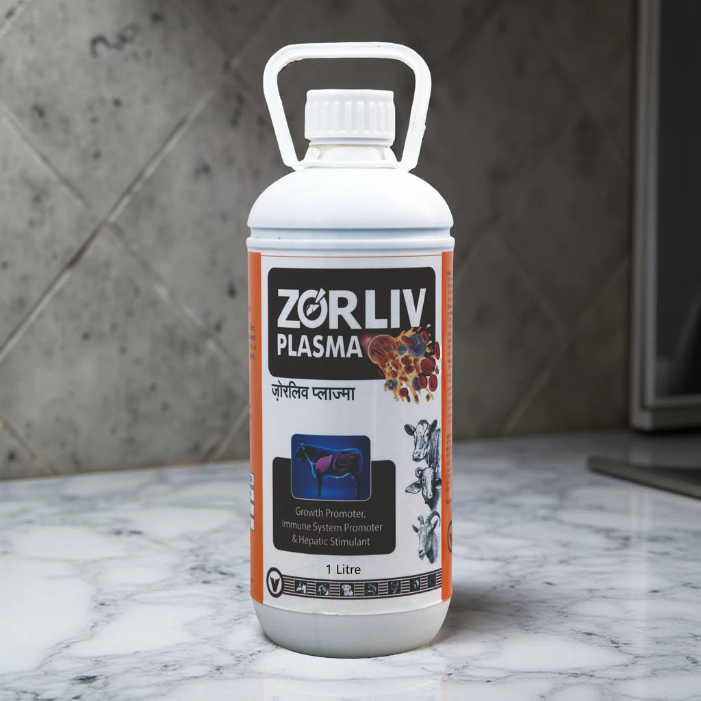 Zorliv Plasma (1 L)