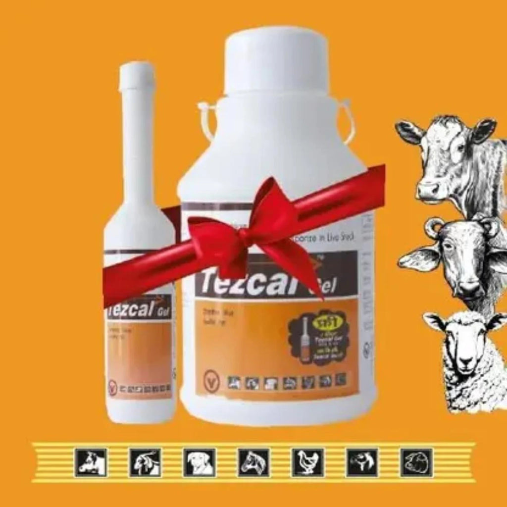 TEZCAL GEL (2L + 300ML FREE)
