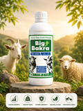 BIG BAKRA 1L