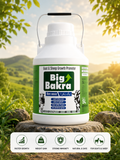BIG BAKRA 20L