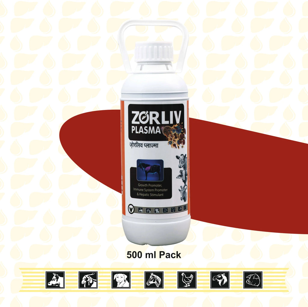 Zorliv Plasma (500 ml)