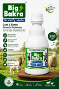 BIG BAKRA 250ML