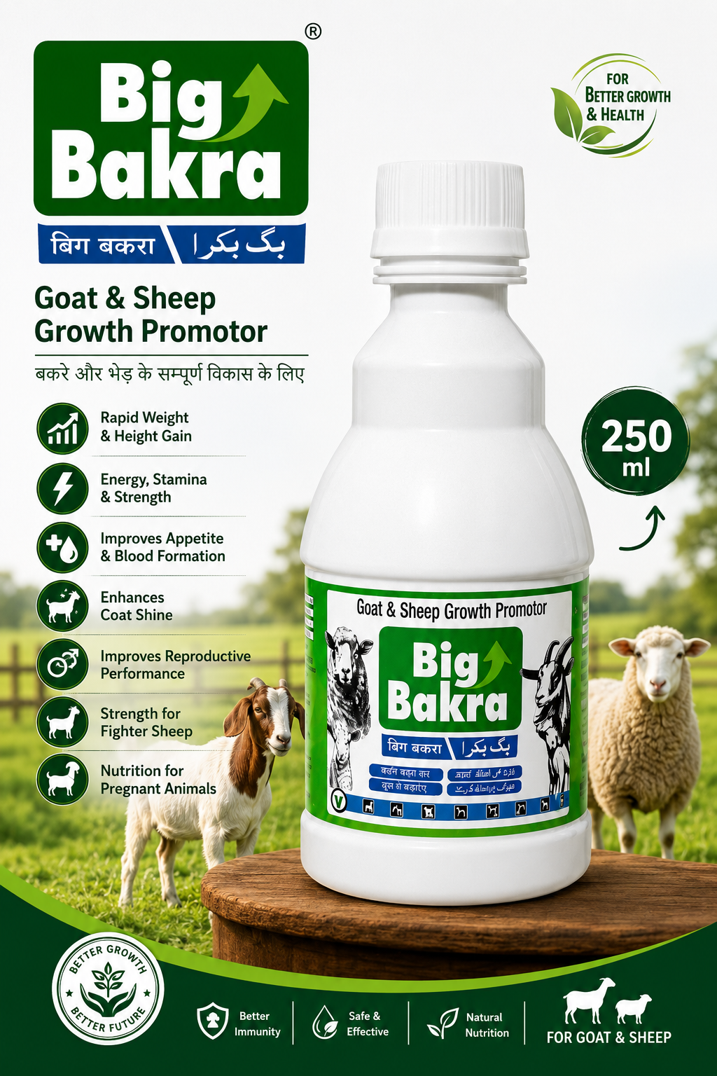 BIG BAKRA 250ML