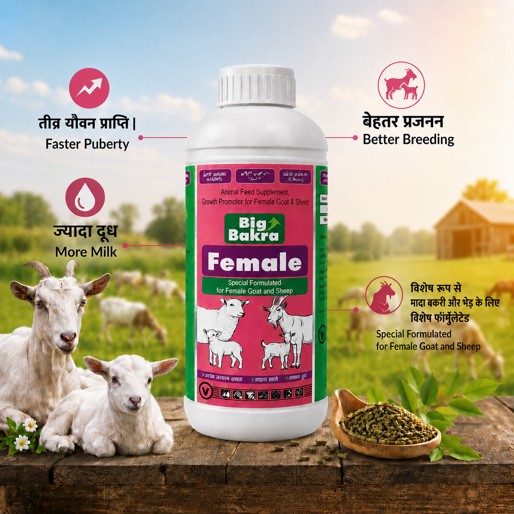 Big Bakra Female Tonic 1L