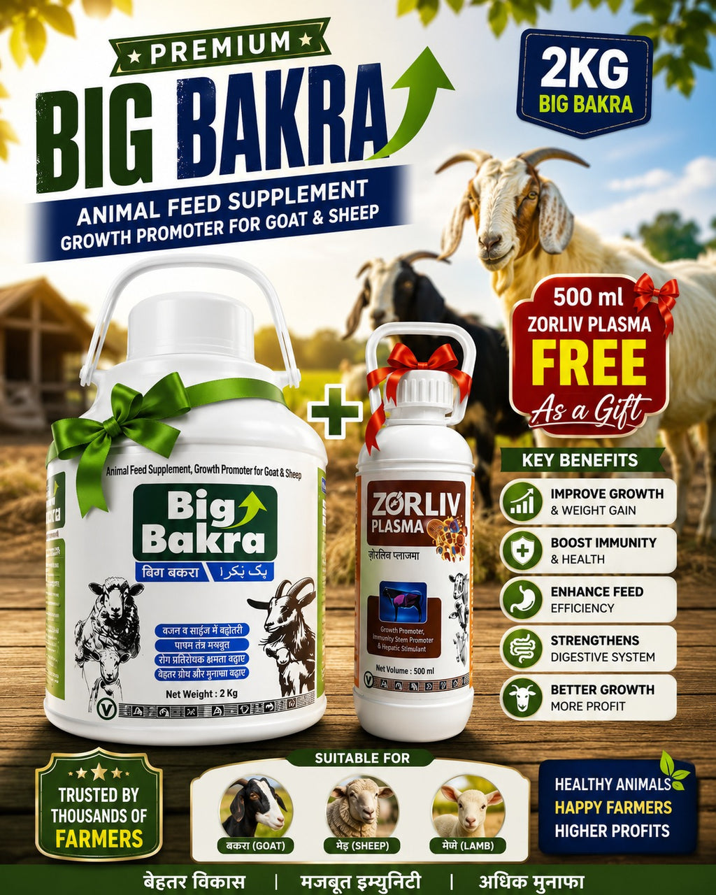 Big Bakra Tonic 2L+500ML Zorliv Plasma (Free)