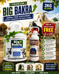 Big Bakra Tonic 2L+500ML Zorliv Plasma (Free)