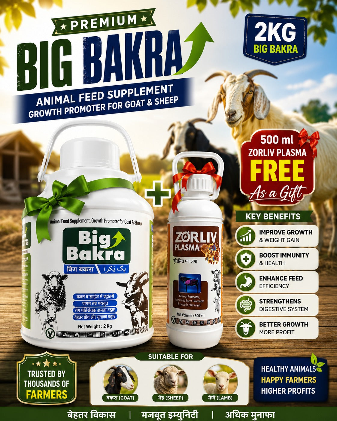 Big Bakra Tonic 2L+500ML Zorliv Plasma (Free)