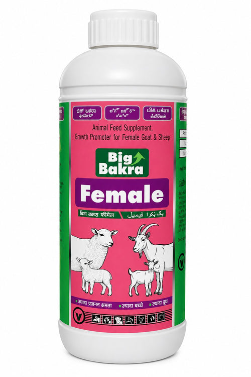 Big Bakra Female Tonic 1L