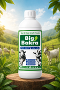 BIG BAKRA 250ML