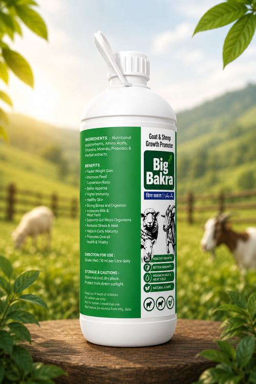 BIG BAKRA 250ML